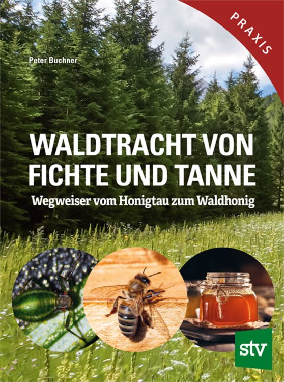 Produktbild: Waldtracht von Fichte und Tanne