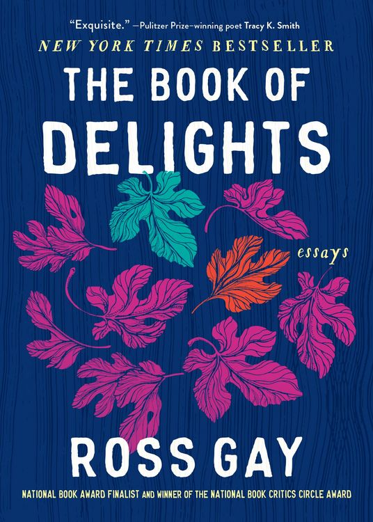Produktbild: The Book of Delights