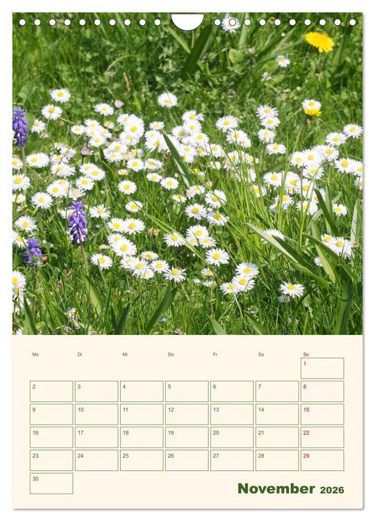 Produktbild: Vertr&auml;umte G&auml;nsebl&uuml;mchen (Wandkalender 2026 DIN A4 hoch), CALVENDO Monatskalender