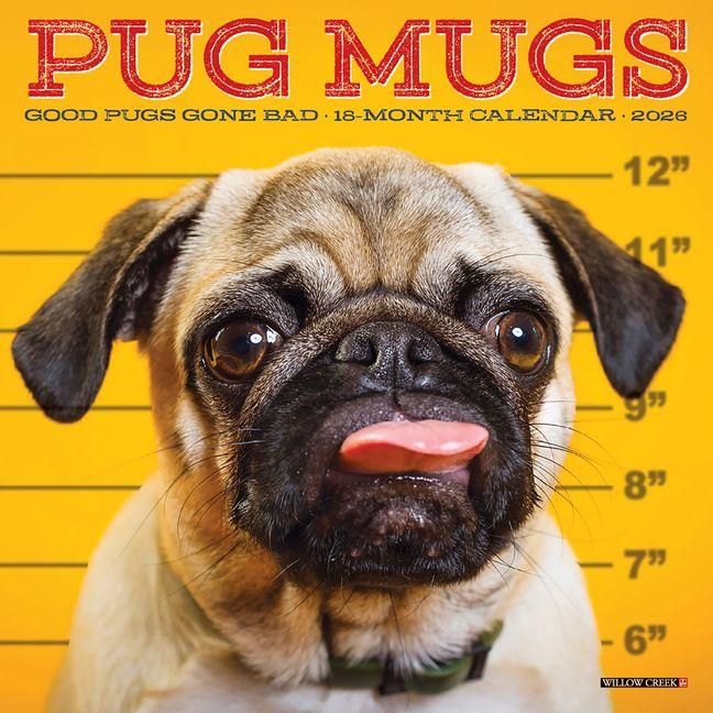 Produktbild: Pug Mugs 2026 Mini Wall Calendar