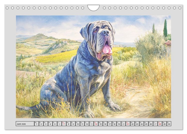 Produktbild: Mastino Napoletano. Die wuchtigen Molosser im Painting-Stil (Wandkalender 2026 DIN A4 quer), CALVENDO Monatskalender