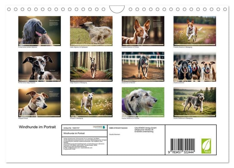 Produktbild: Windhunde im Portrait (Wandkalender 2026 DIN A4 quer), CALVENDO Monatskalender
