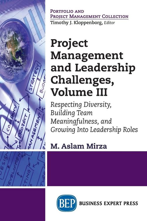 Produktbild: Mirza, M: Project Management and Leadership Challenges, Volu