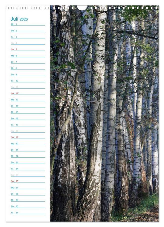 Produktbild: Wunderbarer Spreewald (Wandkalender 2026 DIN A3 hoch), CALVENDO Monatskalender