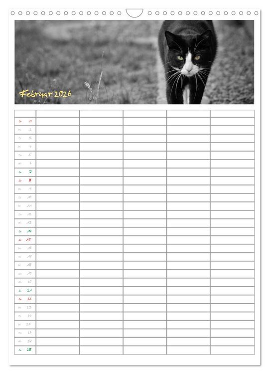 Produktbild: Miezekatzen Planungskalender (Wandkalender 2026 DIN A3 hoch), CALVENDO Monatskalender