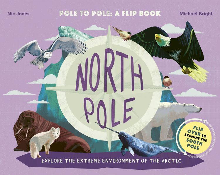 Produktbild: Bright, M: North Pole / South Pole