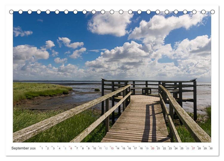 Produktbild: Impressionen der Nordseeinsel Amrum (Tischkalender 2026 DIN A5 quer), CALVENDO Monatskalender