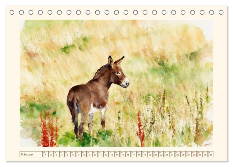 Produktbild: Esel - Treue Begleiter seit &uuml;ber 5000 Jahren (Tischkalender 2027 DIN A5 quer), CALVENDO Monatskalender
