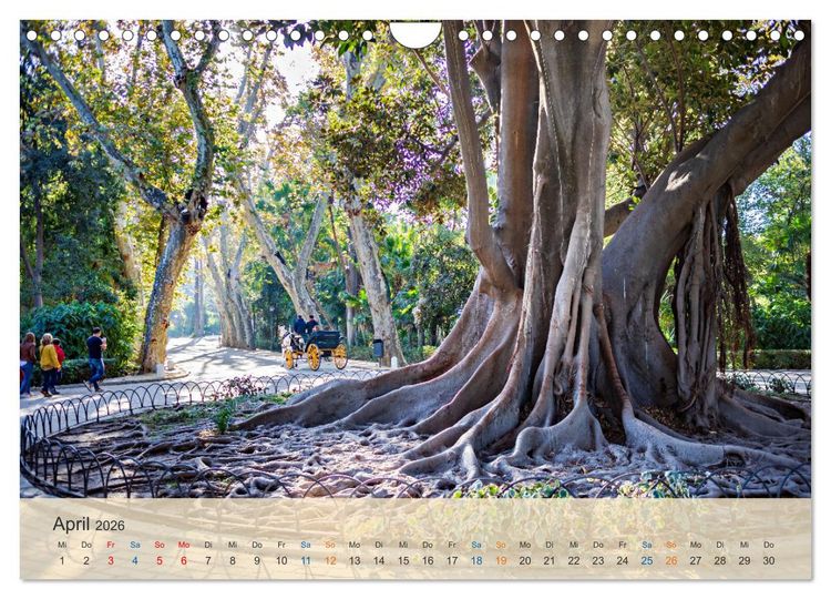 Produktbild: Sevilla - die andalusische Hauptstadt (Wandkalender 2026 DIN A4 quer), CALVENDO Monatskalender