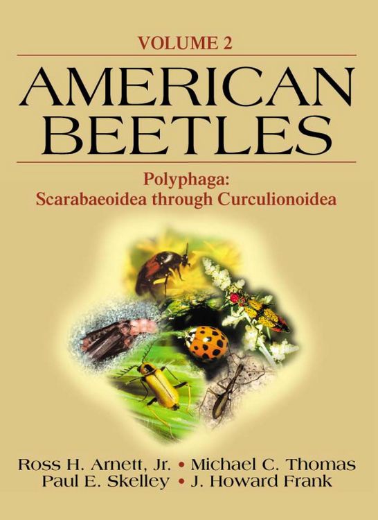 Produktbild: American Beetles, Volume II