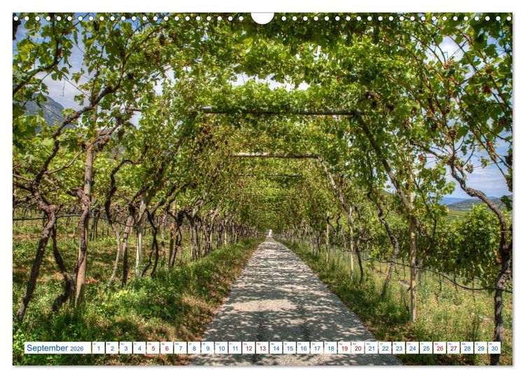 Produktbild: S&uuml;dtiroler Impressionen (Wandkalender 2026 DIN A3 quer), CALVENDO Monatskalender