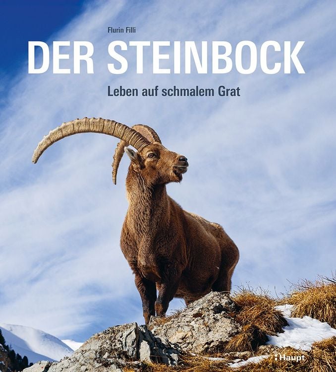 Produktbild: Der Steinbock