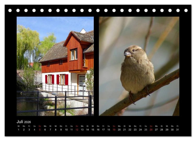 Produktbild: Ulmer Spatzen (Tischkalender 2026 DIN A5 quer), CALVENDO Monatskalender
