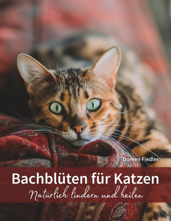 Produktbild: Bachbl&uuml;ten f&uuml;r Katzen