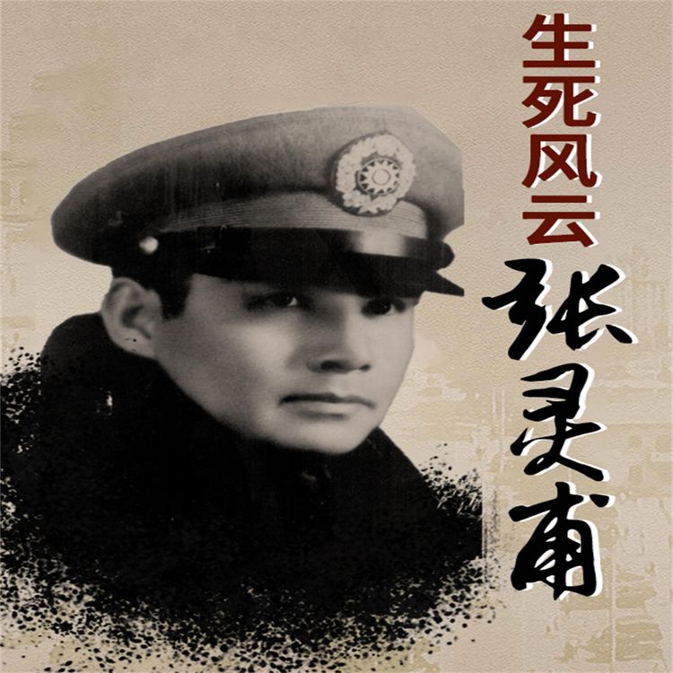Produktbild: 生死风云张灵甫