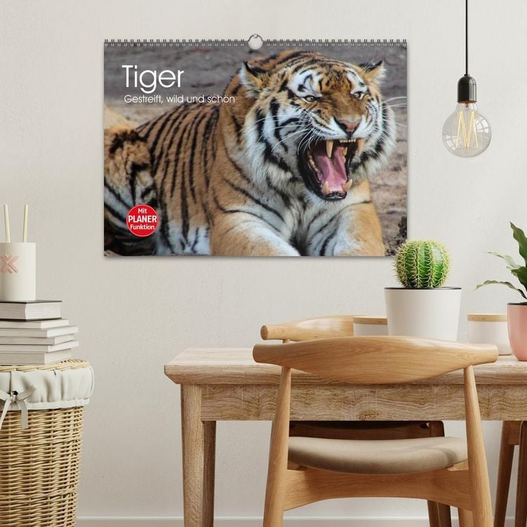 Produktbild: Tiger. Gestreift, wild und sch&ouml;n (Wandkalender 2026 DIN A3 quer), CALVENDO Monatskalender