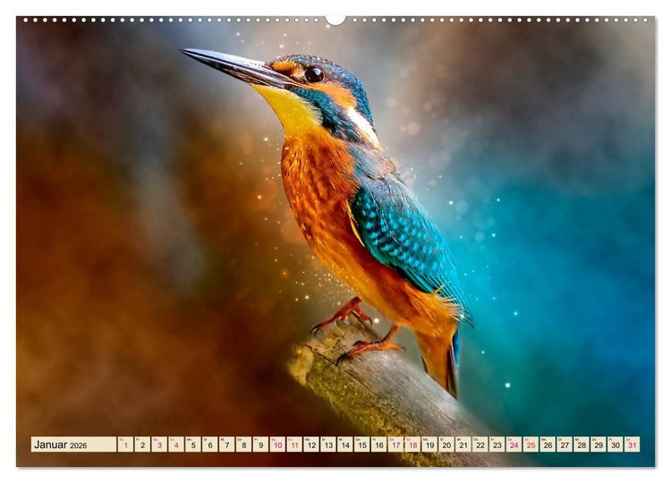 Produktbild: Wundersch&ouml;ner Eisvogel (hochwertiger Premium Wandkalender 2026 DIN A2 quer), Kunstdruck in Hochglanz