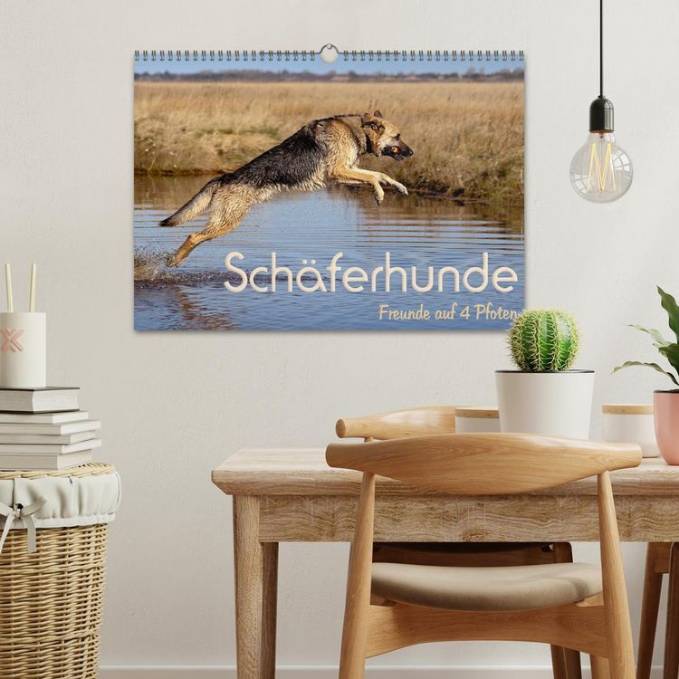 Produktbild: Sch&auml;ferhunde - Freunde auf 4 Pfoten (Wandkalender 2026 DIN A3 quer), CALVENDO Monatskalender
