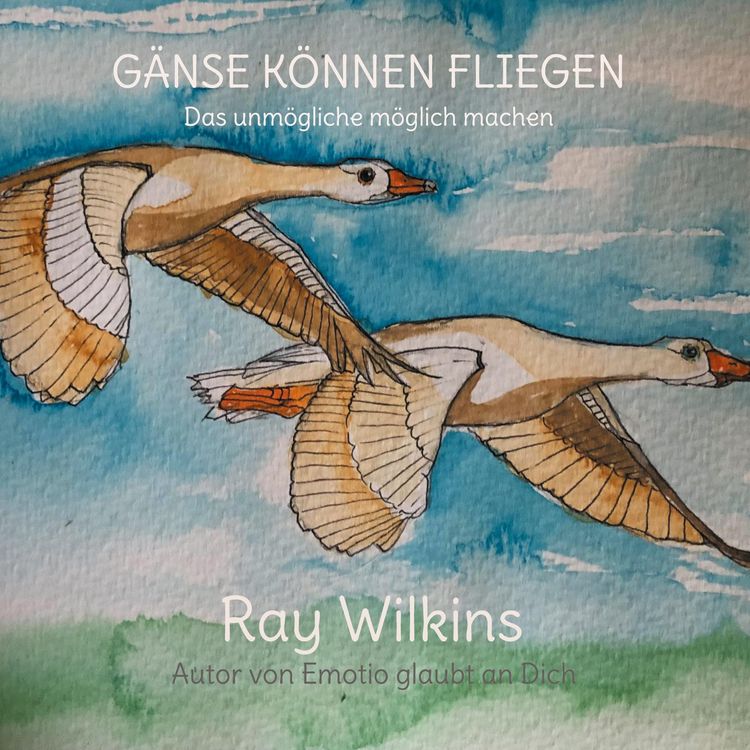 Produktbild: G&auml;nse k&ouml;nnen fliegen