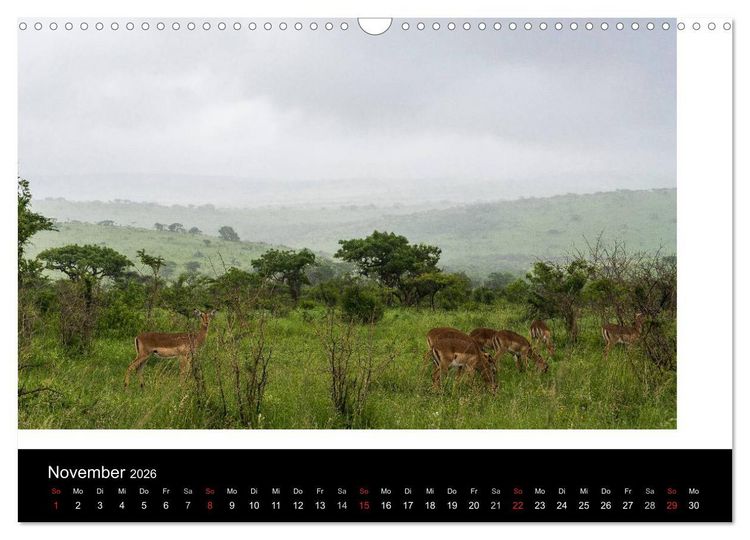 Produktbild: S&uuml;dafrika (Wandkalender 2026 DIN A3 quer), CALVENDO Monatskalender