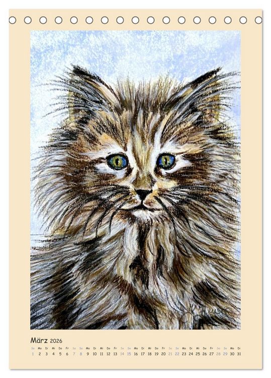 Produktbild: PortraiTierART Samtpf&ouml;tchen (Tischkalender 2026 DIN A5 hoch), CALVENDO Monatskalender