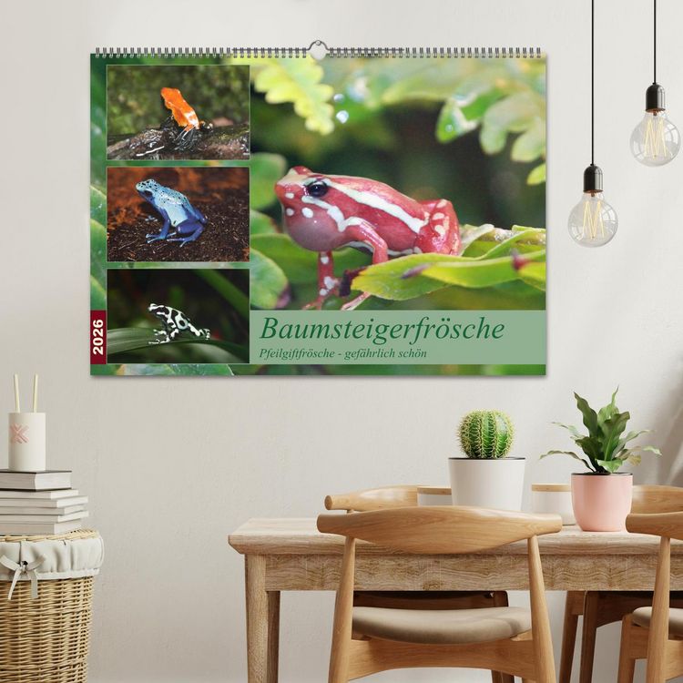 Produktbild: Baumsteigerfr&ouml;sche. Pfeilgiftfr&ouml;sche - gef&auml;hrlich sch&ouml;n (Wandkalender 2026 DIN A2 quer), CALVENDO Monatskalender