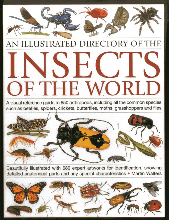 Produktbild: Walters, M: Illustrated Directory of the Insects of the Worl
