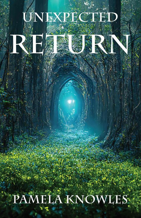 Produktbild: Unexpected Return