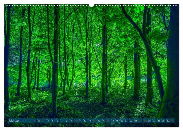Produktbild: Bielefeld - Der Obersee - unendliche Motive... (hochwertiger Premium Wandkalender 2026 DIN A2 quer), Kunstdruck in Hochglanz