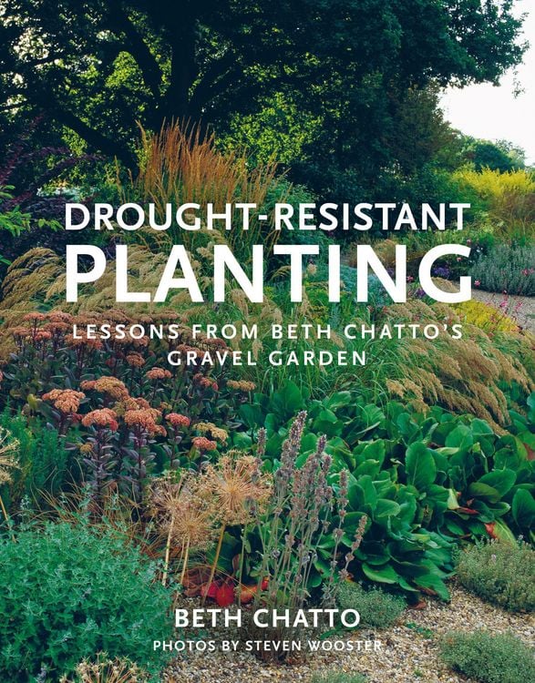 Produktbild: Drought-Resistant Planting
