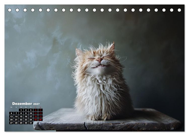 Produktbild: Auch Katzen lachen gern (Tischkalender 2027 DIN A5 quer), CALVENDO Monatskalender