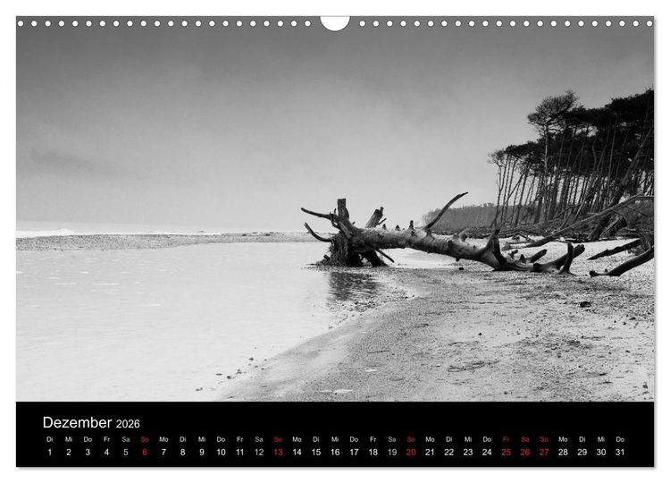 Produktbild: Strandspaziergang an der Ostsee (Wandkalender 2026 DIN A3 quer), CALVENDO Monatskalender