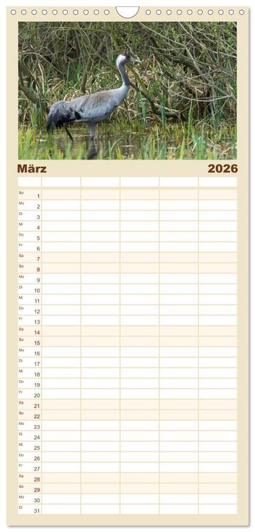 Produktbild: Familienplaner 2026 - Mit Kranichen durch das Jahr mit 5 Spalten (Wandkalender, 21 x 45 cm) CALVENDO
