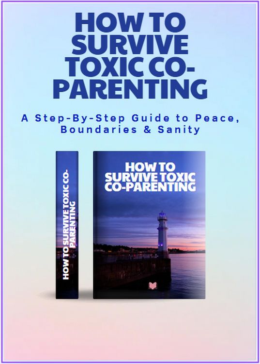 Produktbild: How to survive Toxic Co-parenting