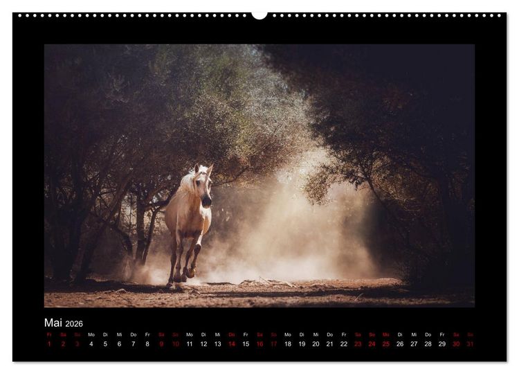 Produktbild: Die Faszinierende Welt der Pferde (hochwertiger Premium Wandkalender 2026 DIN A2 quer), Kunstdruck in Hochglanz