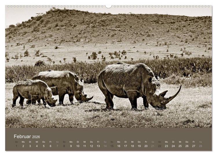 Produktbild: Wildes Afrika (hochwertiger Premium Wandkalender 2026 DIN A2 quer), Kunstdruck in Hochglanz