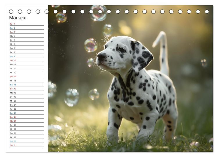 Produktbild: Hundegl&uuml;ck (Tischkalender 2026 DIN A5 quer), CALVENDO Monatskalender