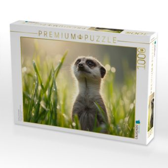 Produktbild: CALVENDO Puzzle Fr&uuml;hling, Ich bin bereit | 1000 Teile Lege-Gr&ouml;&szlig;e 64x48cm Foto-Puzzle f&uuml;r gl&uuml;ckliche Stunden