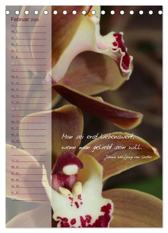 Produktbild: Blumen & Zitate / Geburtstagskalender (Tischkalender 2026 DIN A5 hoch), CALVENDO Monatskalender