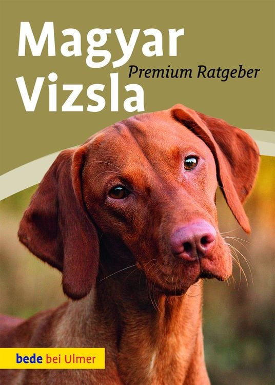 Bild vom Artikel Magyar Vizsla vom Autor Annette Schmitt