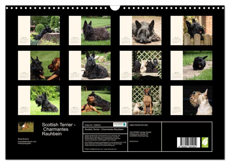 Produktbild: Scottish Terrier - Charmantes Rauhbein (Wandkalender 2026 DIN A3 quer), CALVENDO Monatskalender