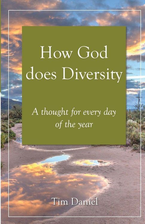 Produktbild: How God does Diversity