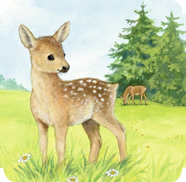 Produktbild: Meine liebsten Tierbabys