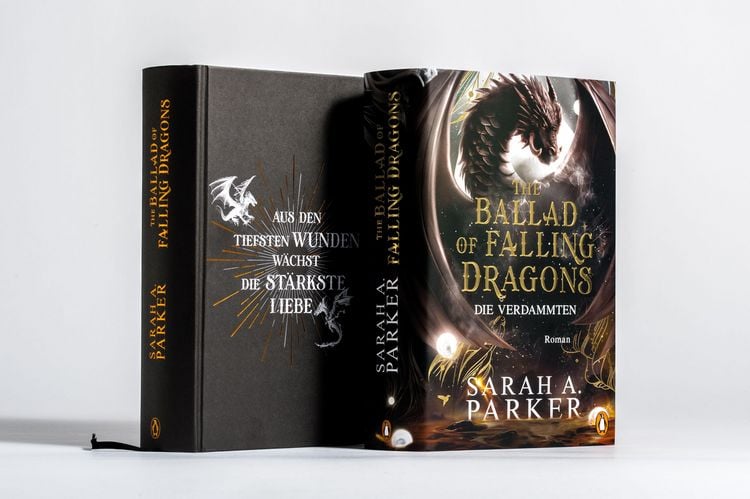 Produktbild: The Ballad of Falling Dragons