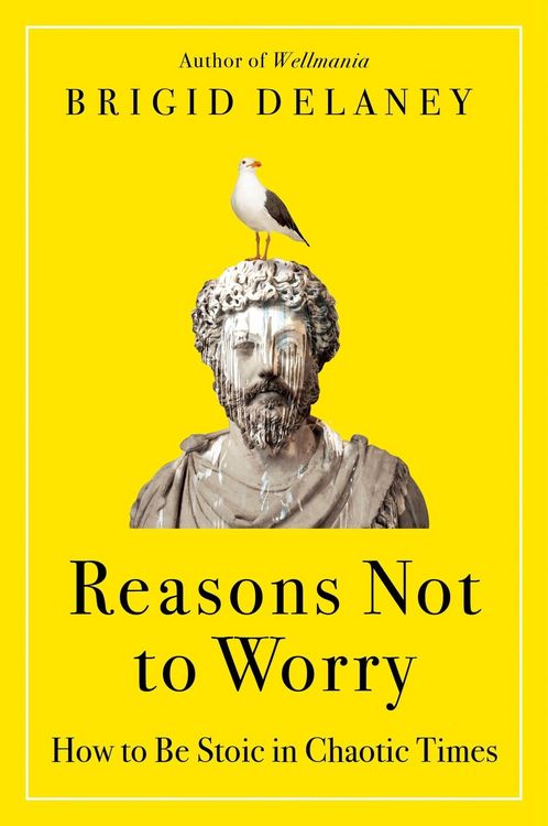Produktbild: Reasons Not to Worry