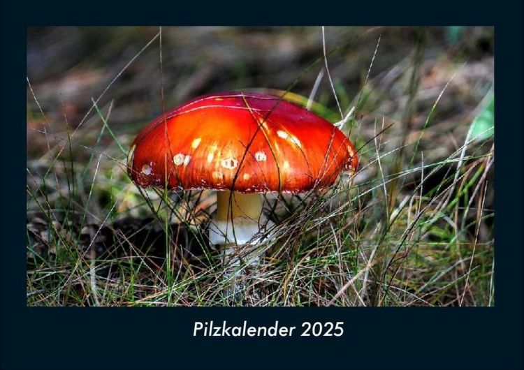 Produktbild: Pilzkalender 2025 Fotokalender DIN A4