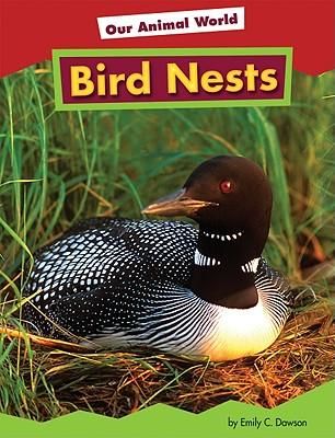 Produktbild: Bird Nests
