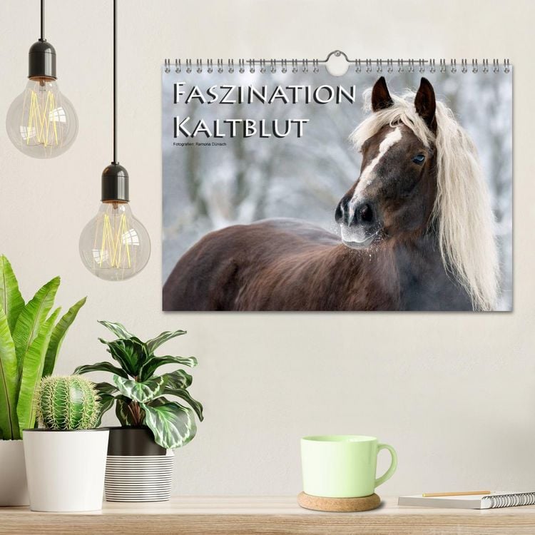 Produktbild: Faszination Kaltblut (Wandkalender 2026 DIN A4 quer), CALVENDO Monatskalender