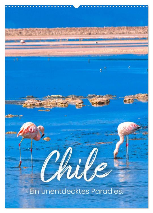 Produktbild: Chile - Ein unentdecktes Paradies. (Wandkalender 2026 DIN A2 hoch), CALVENDO Monatskalender