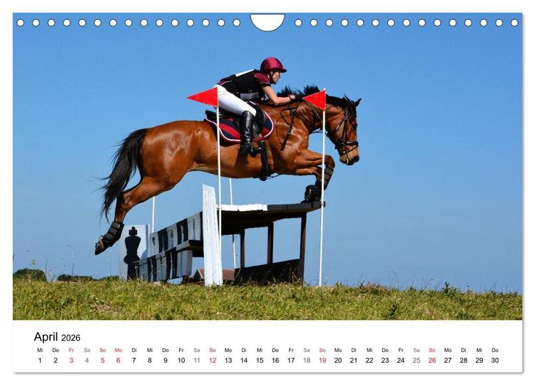 Produktbild: Eventing - Der ultimative Reitsport (Wandkalender 2026 DIN A4 quer), CALVENDO Monatskalender